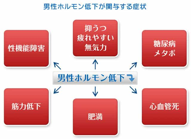 ウィンゾロン男性ホルモンの低下