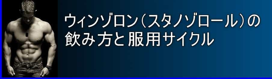 ウィンゾロン(スタノゾロール)の飲み方 服用サイクル